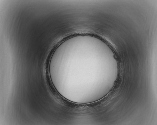 X0000116340631200912011019