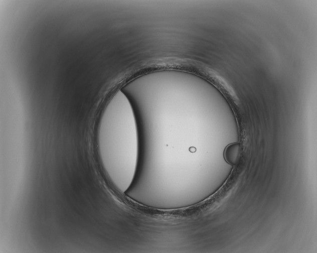 X0000116340633200912011019