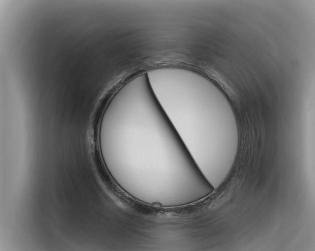 X0000116340634200912011019