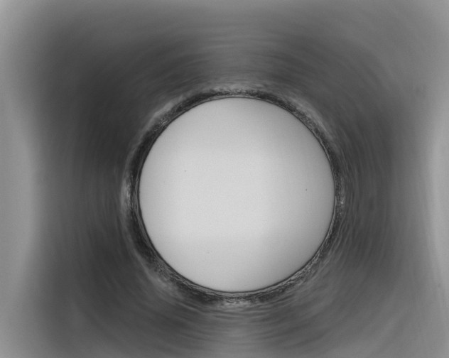 X0000116340636200912011019