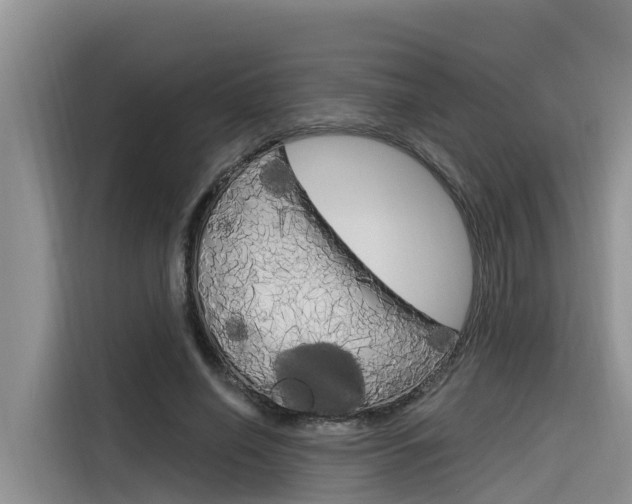 X0000116340638200912011019