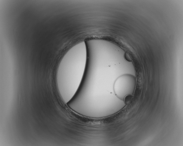 X0000116340639200912011019