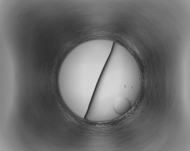 X0000116340641200912011019