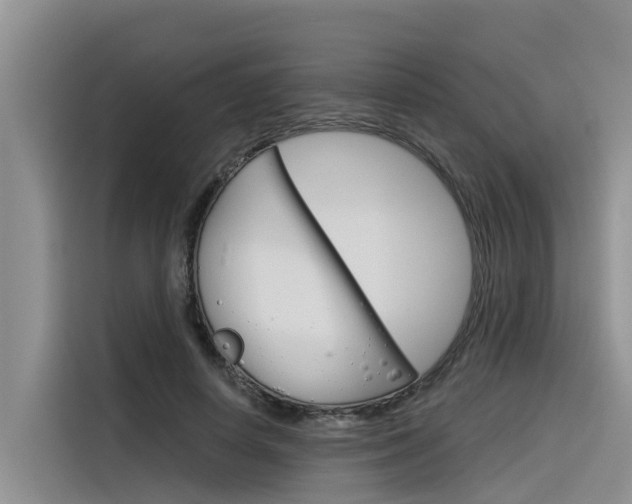 X0000116340642200912011019
