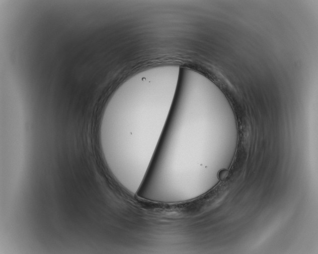 X0000116340643200912011019