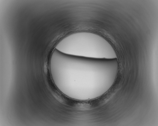 X0000116340644200912011019