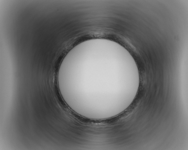 X0000116340645200912011019