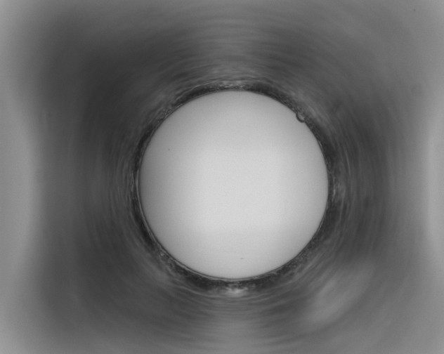 X0000116340647200912011019
