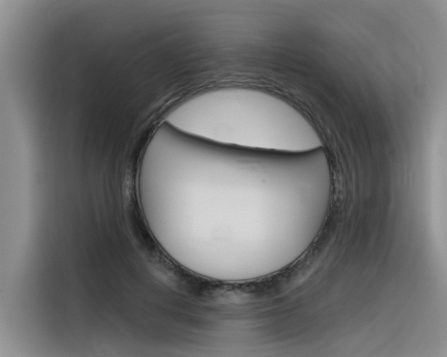 X0000116340648200912011019