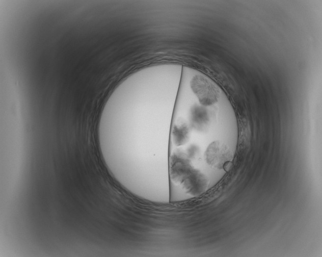 X0000116340649200912011019