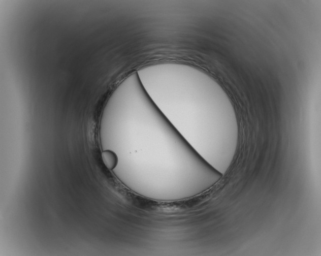 X0000116340650200912011019