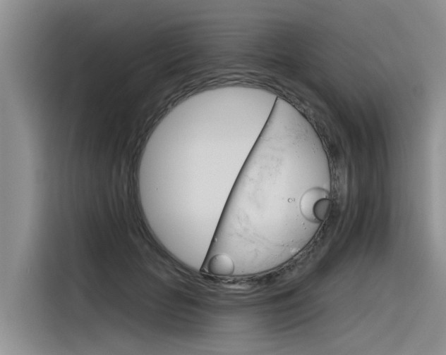 X0000116340653200912011019