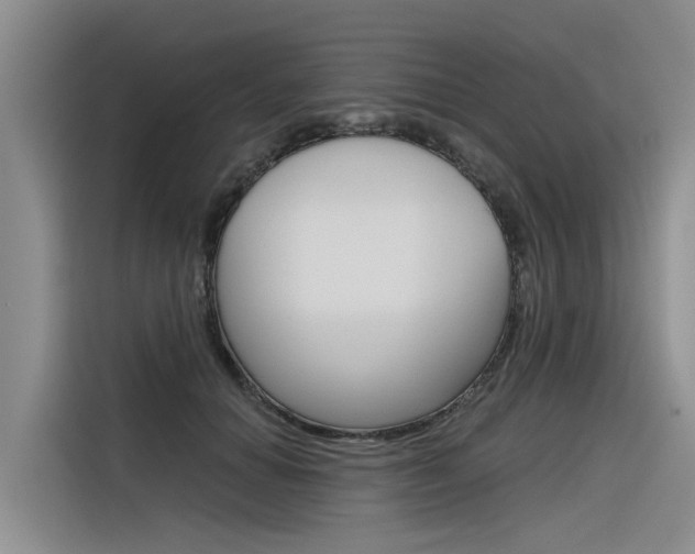 X0000116340654200912011019