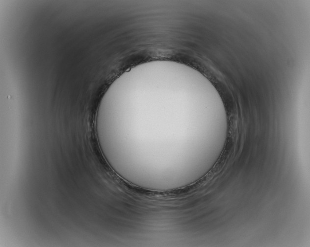 X0000116340655200912011019