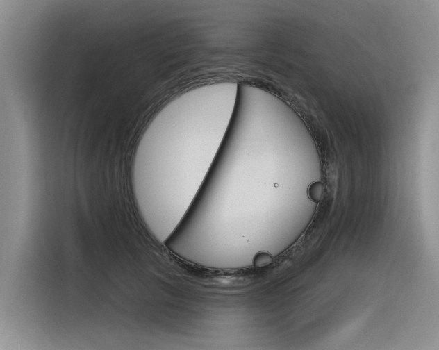 X0000116340657200912011019