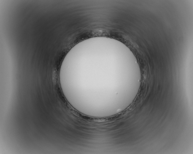 X0000116340659200912011019