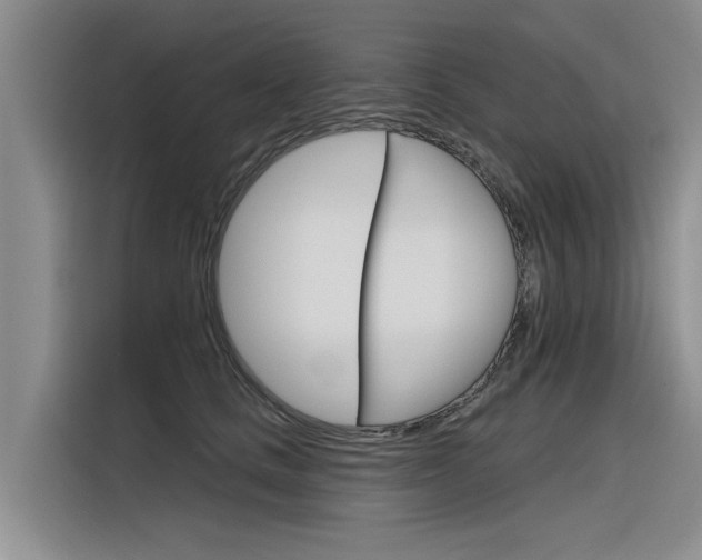 X0000116340661200912011019
