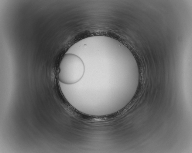 X0000116340662200912011019