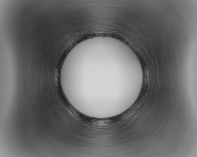 X0000116340664200912011019