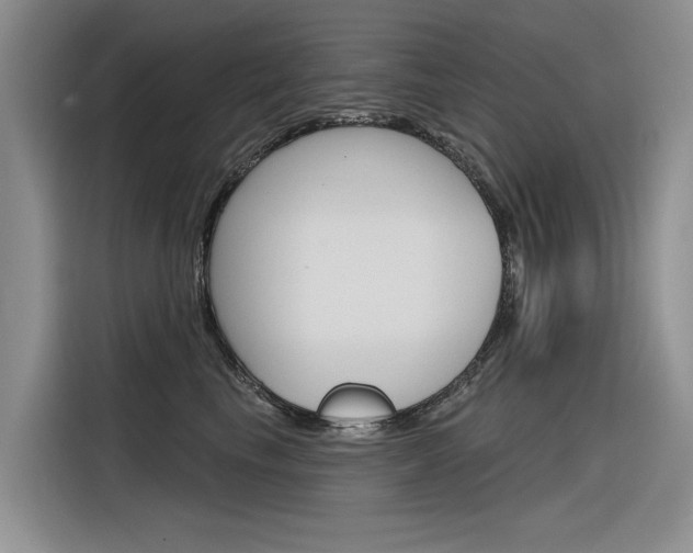 X0000116340665200912011019