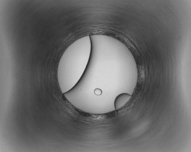 X0000116340667200912011019