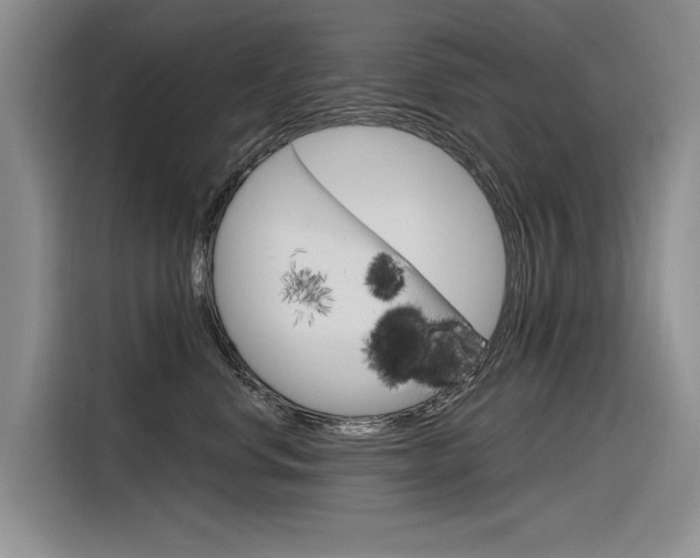 X0000116340668200912011019