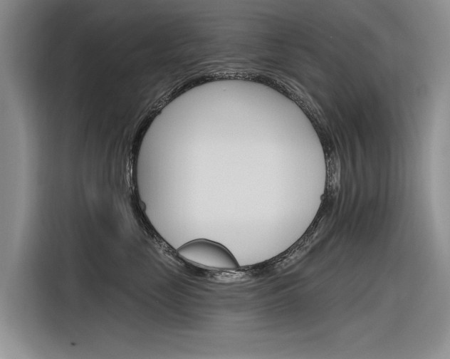 X0000116340669200912011019