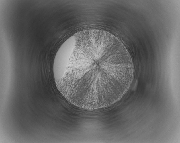 X0000116340671200912011019