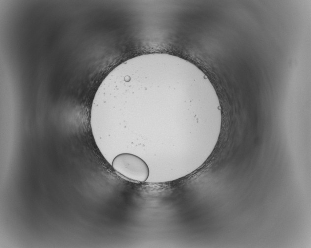 X0000116340672200912011019