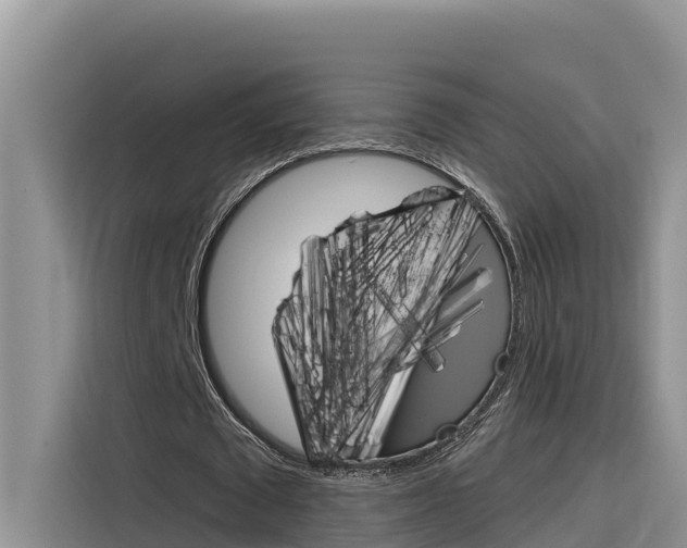 X0000116340673200912011019