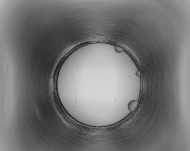 X0000116340674200912011019
