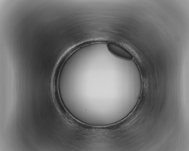 X0000116340676200912011019