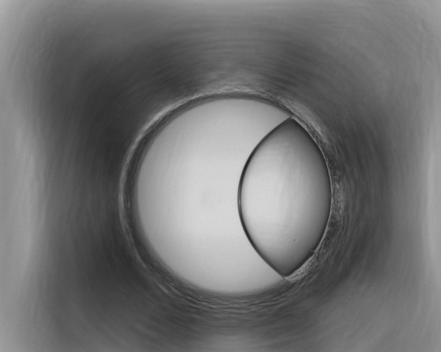 X0000116340680200912011019