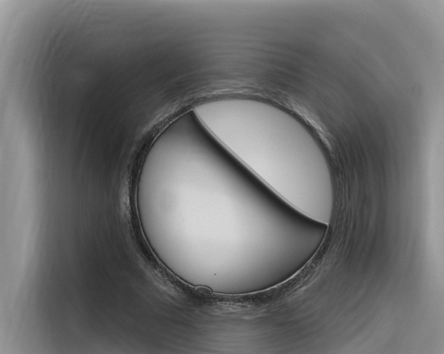 X0000116340681200912011019