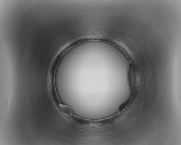 X0000116340684200912011019