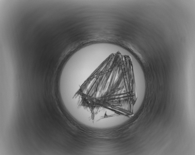 X0000116340685200912011019
