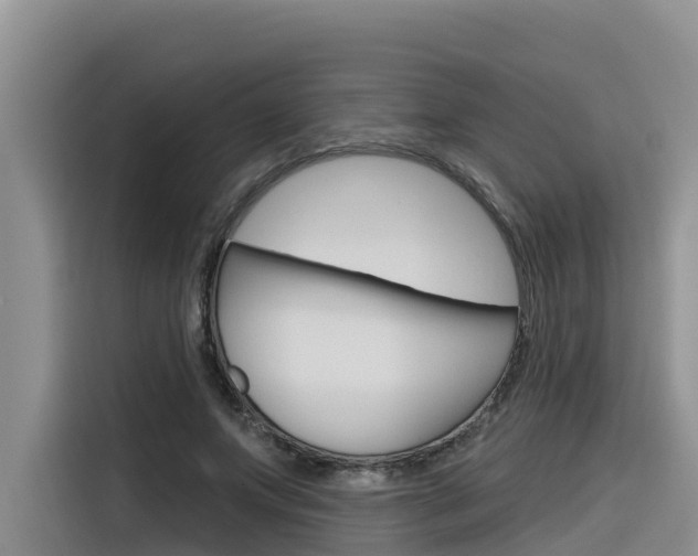 X0000116340687200912011019