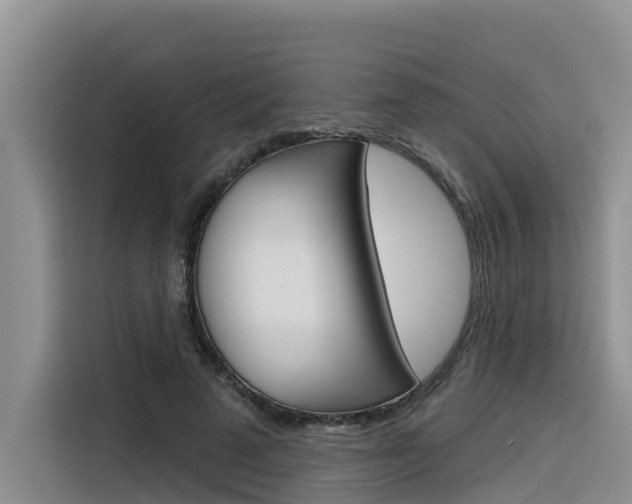 X0000116340689200912011019
