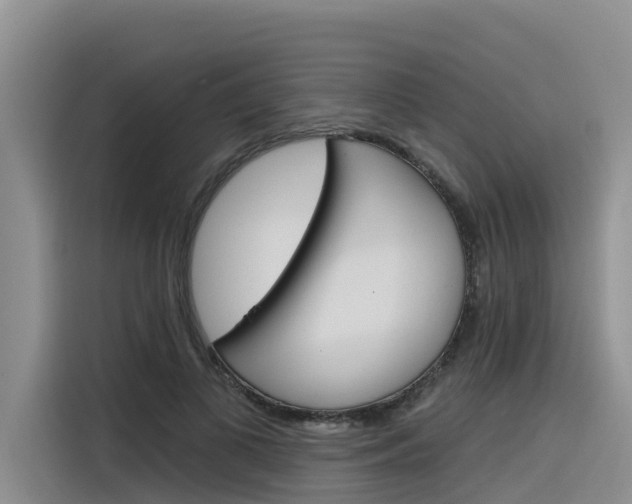 X0000116340693200912011018