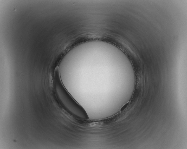 X0000116340700200912011018