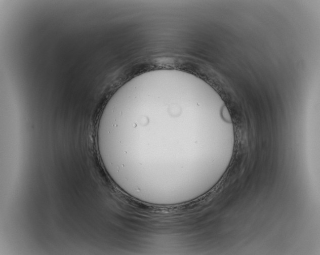 X0000116340702200912011018