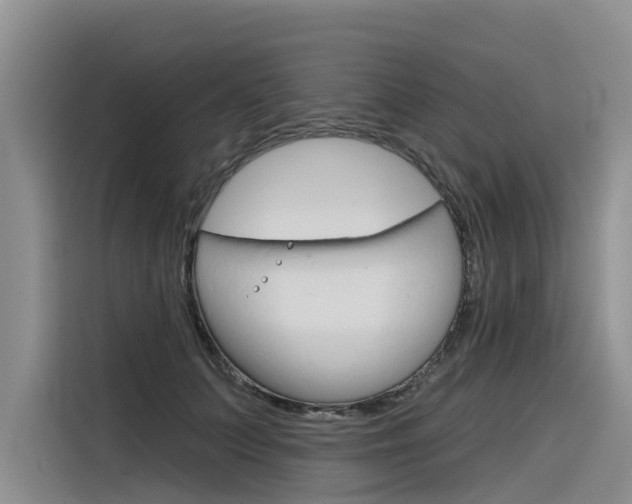 X0000116340703200912011018