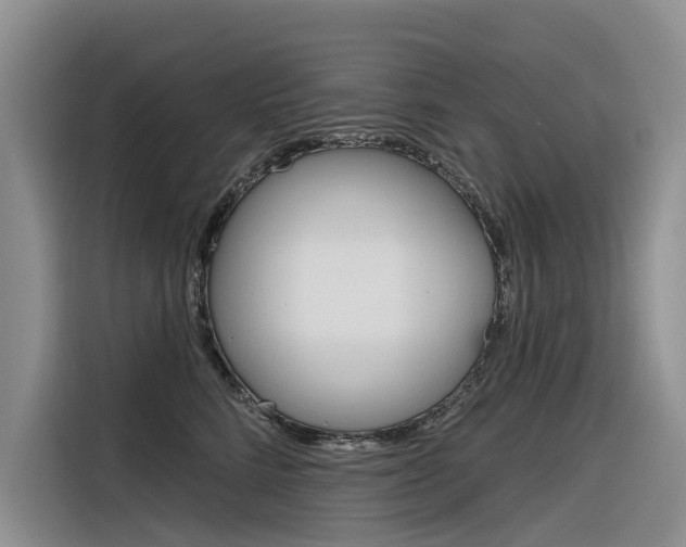 X0000116340712200912011018