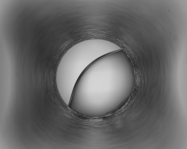 X0000116340716200912011018