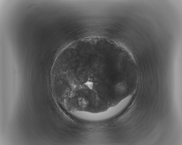 X0000116340721200912011018