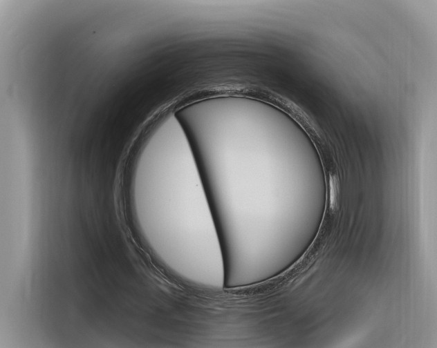 X0000116340723200912011018