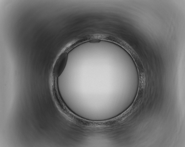 X0000116340726200912011018