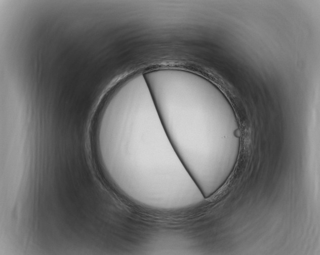 X0000116340727200912011018