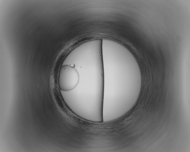 X0000116340734200912011018