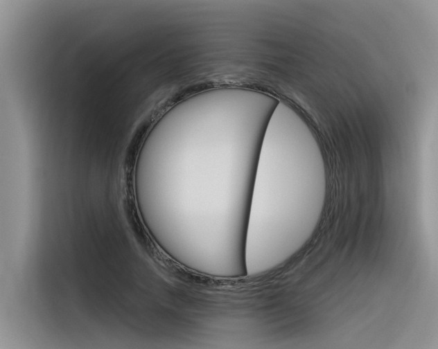 X0000116340738200912011018